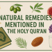 🌿 Natural Remedies Mentioned in the Holy Qur’an: A Deep Dive Into Divine Healing